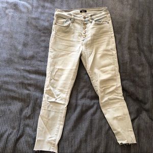 BDG 27 Cropped Twig Jean
